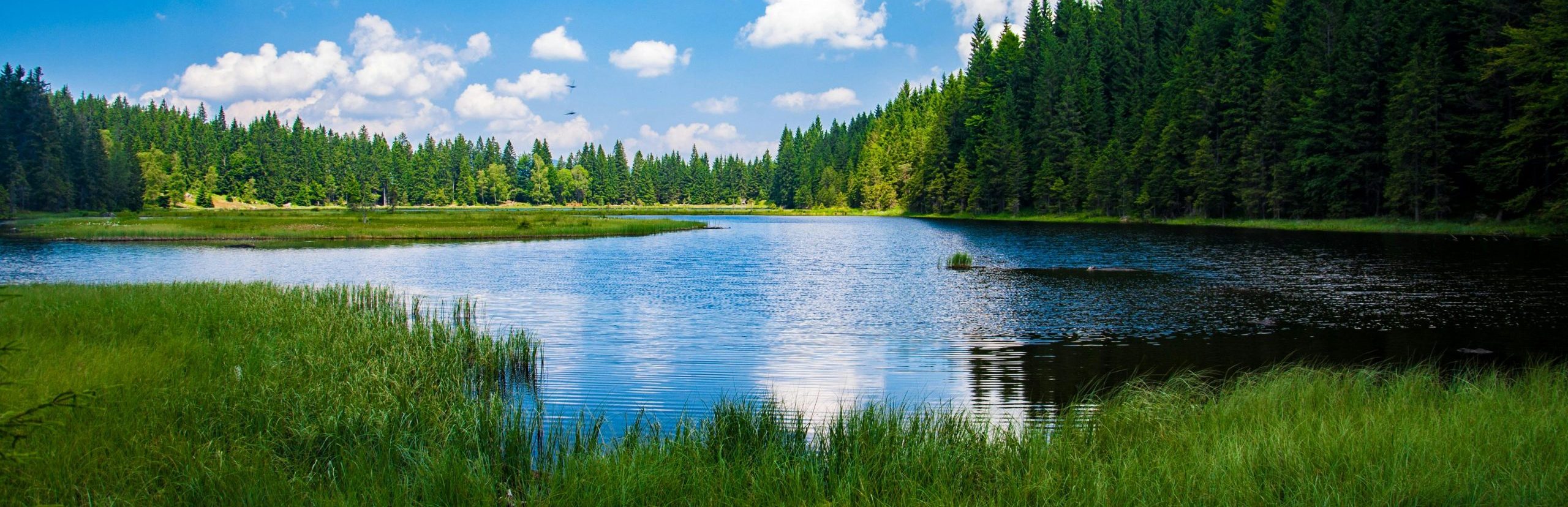 Riverview Drips and Wellness